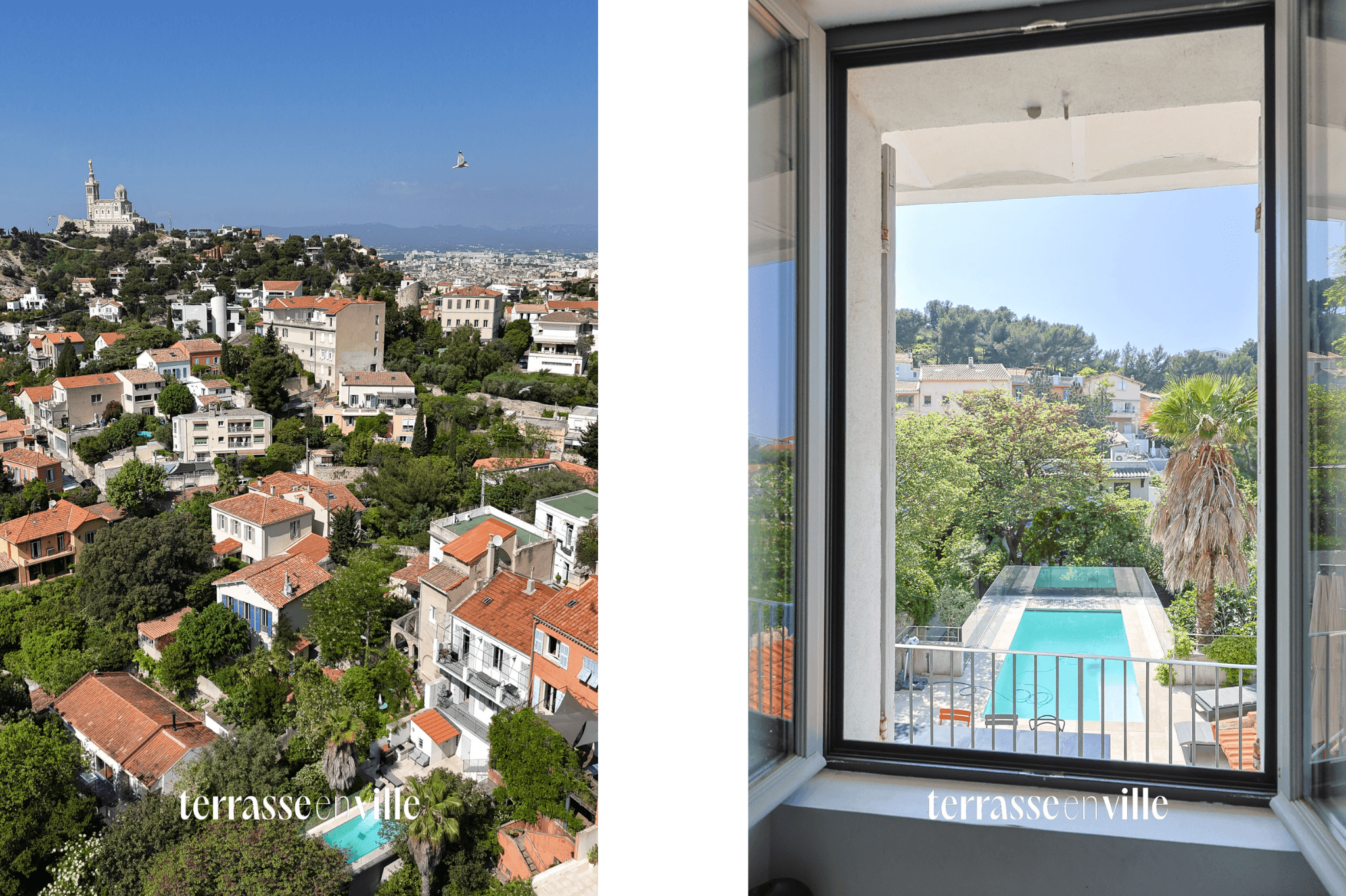 ROUCAS-BLANC MAISON - VUE TERRASSE JARDIN PISCINE 1 200 000 € - 6