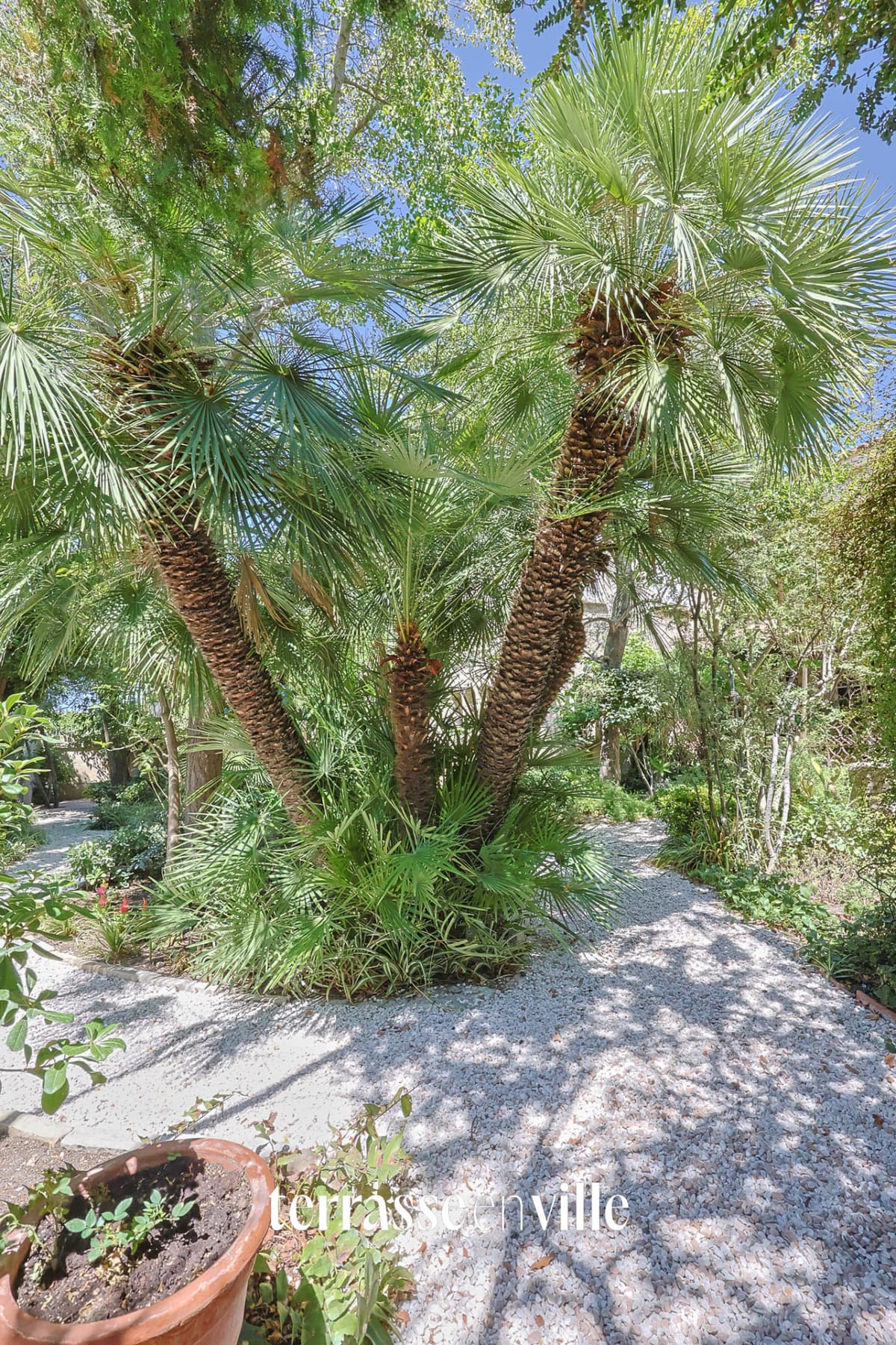 POINTE ROUGE - MAISON - 290M2 - JARDIN - PISCINE - GARAGES - 1 920 000 € - 5