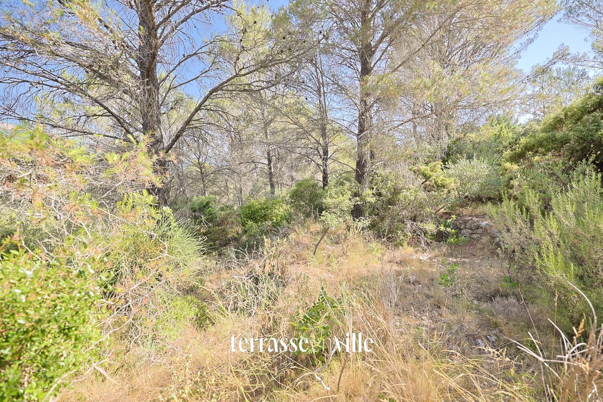 Terrain 2,3HA - Bastidon de 17M2 - 2