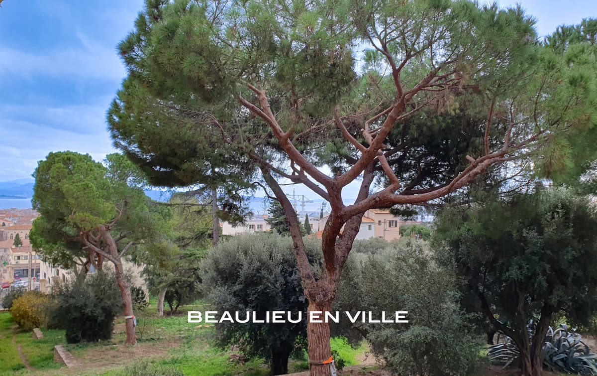 LA CIOTAT - CENTRE VILLE - APPARTEMENT T3 63M2 - CAVE - PARKING 275 000 € - 2