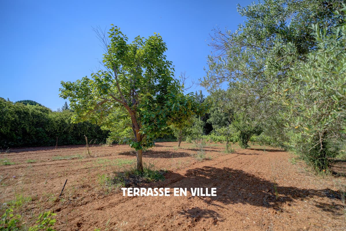 PROPRIETE 1,8HA - MAISON 180M2 - PISCINE - 598 000€ - 6