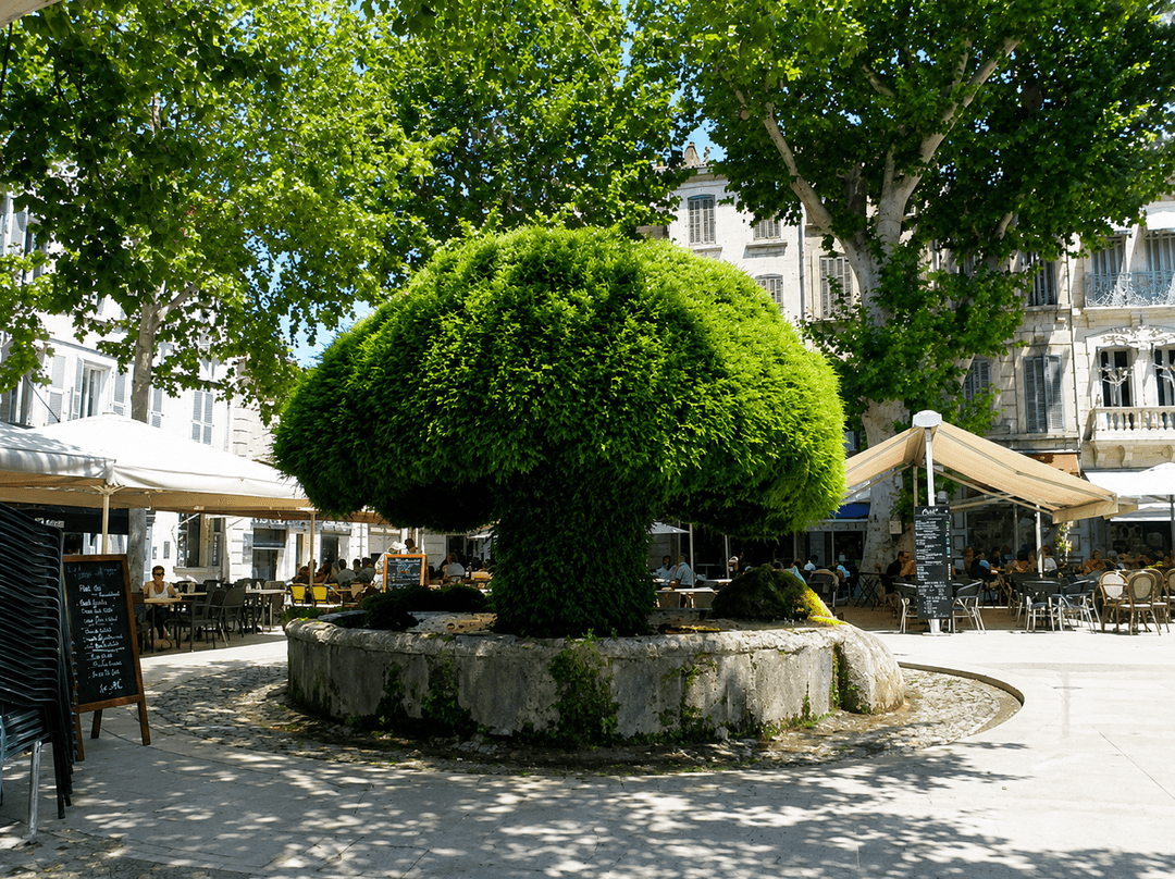 SALON DE PROVENCE - TERRAIN CONSTRUCTIBLE - 536m2 - 240 000€