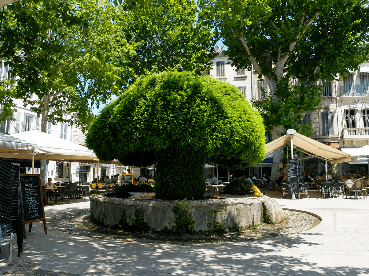 SALON DE PROVENCE - TERRAIN CONSTRUCTIBLE - 536m2 - 240 000€