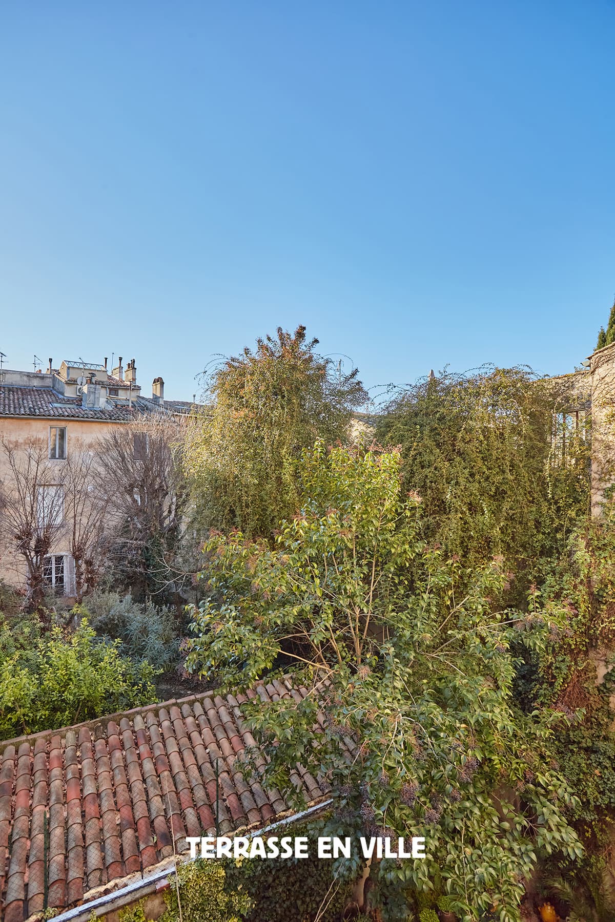 EXCLUSIVITE - CENTRE VILLE HISTORIQUE - T3 - ASCENSEUR GARAGE 660 000 € - 1
